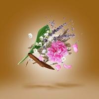 Xerjoff Oud Stars Fars Eau de parfum Spray 50ml - thumbnail