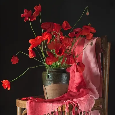 Alexsar Art Tuinschilderij rode bloemen in een vaas 50x50cm Alexsar Art Tuinschilderij rode bloemen in een vaas 50x50cm