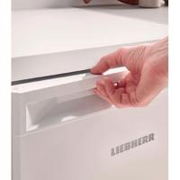 Liebherr Re 1000 Pure tafelmodel koelkast barmodel - thumbnail