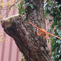 Connex Pp Touw 8Mm/160Kg Oranje Bobijn/20M - B34083 - thumbnail