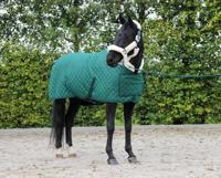 HB Showdeken Desire - thumbnail