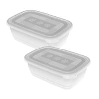 Rotho Freeze Diepvriesdozen 2x1.9L Transparant - thumbnail