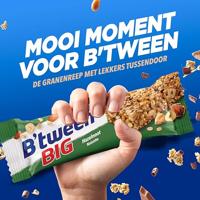 Hero b'tween big hazelnoot (24x 50gr) - thumbnail