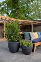 Pot bol Arc Granite 114 x 90 warm taupe bloempot Capi Europe - Capi europe - thumbnail