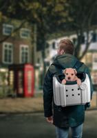Compaws Trolley London 40 cm Grijs - thumbnail