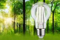 Paulmann 29125 LED-lamp Energielabel A (A - G) E27 4 W Neutraalwit (Ø x h) 60 mm x 105 mm 1 stuk(s) - thumbnail