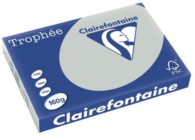 Clairefontaine Trophée Pastel, gekleurd papier, A3, 160 g, 250 vel, lichtgrijs