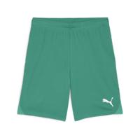 PUMA teamGOAL Voetbalbroekje Groen Wit - thumbnail