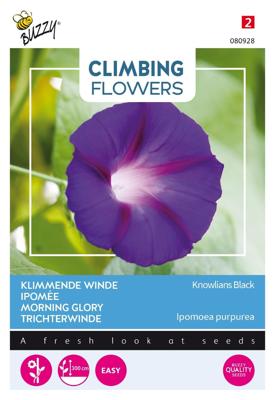 Zaden Flowering Climbers Ipomoea Knowlians Black Buzzy - Buzzy