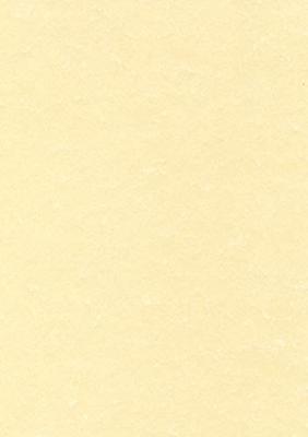 Decadry structuurpapier champagne, 165 g, pak van 50 vel