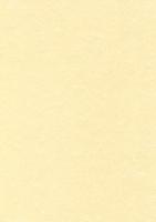 Decadry structuurpapier champagne, 165 g, pak van 50 vel - thumbnail