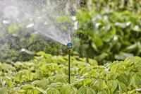 Gardena Micro-drip verlengbuis - thumbnail