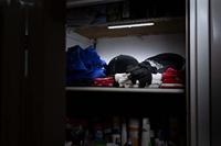 LED is more 30 x 3 cm (40 LED lampen) - thumbnail