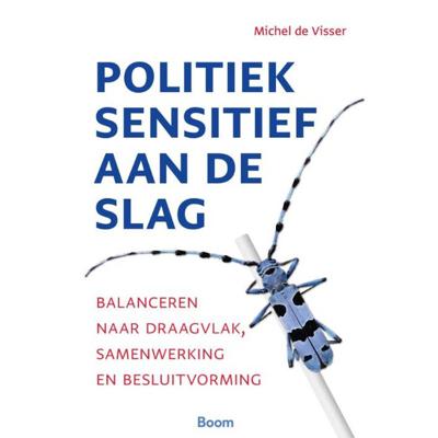 Politiek sensitief aan de slag (Hardback)