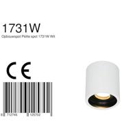 Steinhauer Spot Pélite opbouwspot 1731w wit - thumbnail