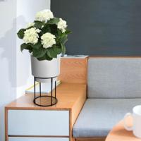 Hortensia deluxe kunstplant 45cm - crème - thumbnail