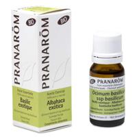 Etherische Olie Exotische Basilicum (Ocimum Basilic.) BIO - thumbnail