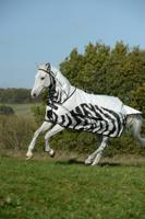 Bucas Buzz-off Rain Zebra fn zwart/wit maat:155 / 6'7 - thumbnail