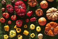 MINI COCOTTE PEPERS STAUB 40500-324-0 - GEEL - thumbnail