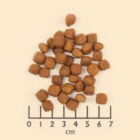 Wild duck puppy 2kg - thumbnail