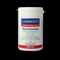 Lamberts Glucosamine & phytodroitine complex 120 Tabletten - thumbnail