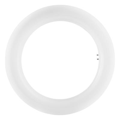 OSRAM LED Energielabel A+ (A++ - E) G10q Ring 12 W Neutraalwit (Ø x l) 30 mm x 205 mm 1 stuk(s)