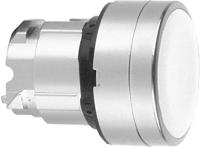 Schneider Electric ZB4BA14 ZB4BA14 Terugstelbaar (Ø) 22 mm Zonder markering Chroom, Wit 1 stuk(s) - thumbnail