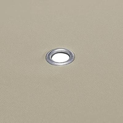 VidaXL Prieeldak 310 g/m² 4x3 m beige