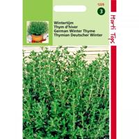 Buzzy® Wintertijm Zaden - thumbnail