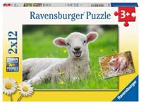 Ravensburger puzzel boederijdieren 2 x 12 stukjes - thumbnail