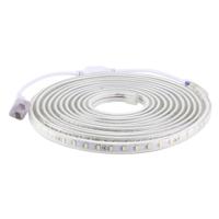 5m behuizing LED Light Strip 72 LED/m 360 LEDs SMD 5730 IP65 waterdichte LED Lamp met stekker AC 220V(White Light) - thumbnail