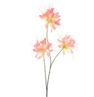 Spider flower spray peach 94 cm kunstbloem Erutan Avon - Erutan avon - thumbnail