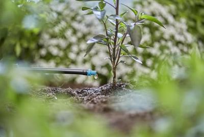 Gardena Micro Drip Systeem Einddruppelaar 2 l/u - thumbnail