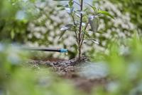 Gardena Einddruppelaar 2 l/u - 13307-20 13307-20 - thumbnail