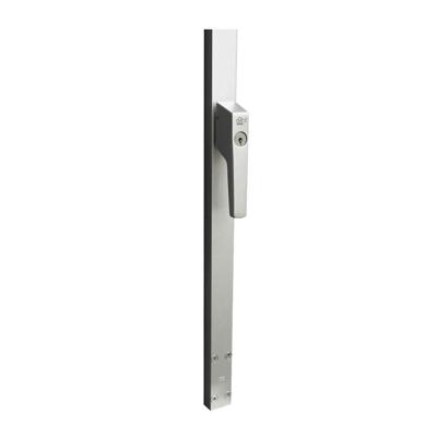 P&E P+E Veiligheidsespagnolet voor deuren afsluitbaar SKG2 270cm rechtsdraaiend - aluminiumgrijs F1