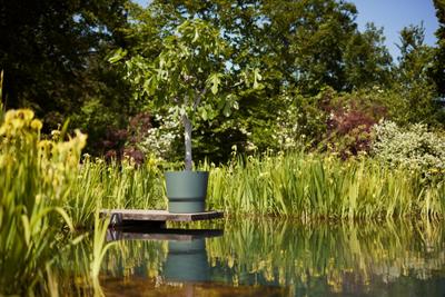 Elho pot Greenville 55cm bladgroen