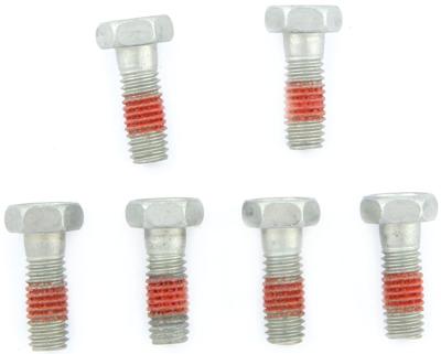 TRW bouten-set screw set 6pcs. m6x1