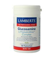Glucosamine & Phytodroïtine complex - thumbnail