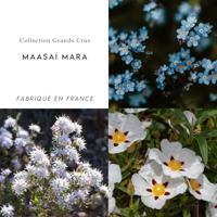 Berdoues Maasaï Mara Eau de Parfum 100ml - thumbnail