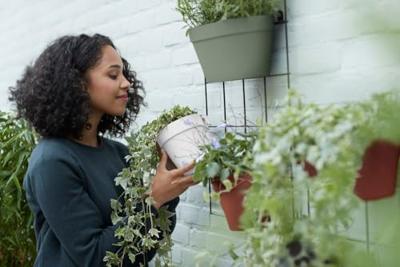 Elho Pot loft urban wall duo 28cm Groen Elho Pot loft urban wall duo 28cm Groen
