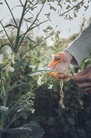Fiskars Classic Universele Schaar 18cm - thumbnail