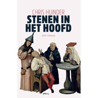 Stenen in het hoofd (Paperback)