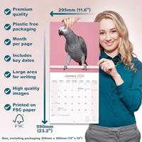 Grijze Roodstaart Kalender 2026 - thumbnail