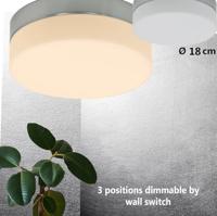 Steinhauer PlafonniereCeiling And Wall Led - 1362ST - thumbnail