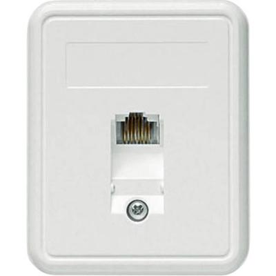 Telegärtner 100022998 Netwerkdoos Opbouw (op muur) CAT 5e 1 poort Alpine-wit