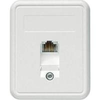 Telegärtner 100022998 Netwerkdoos Opbouw (op muur) CAT 5e 1 poort Alpine-wit - thumbnail