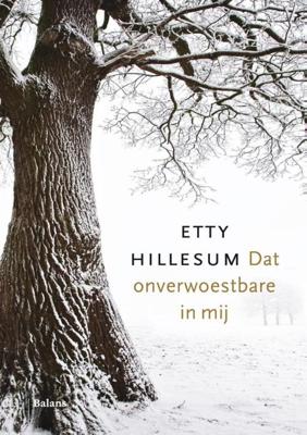 Dat onverwoestbare in mij - Etty Hillesum - eBook (9789460039454)