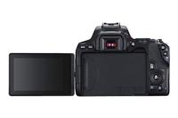 Canon EOS 250D zwart + 18-55mm iS STM COMPACT + EF 50mm F/1.8 STM - thumbnail