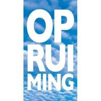 Raambiljet thema OPRUIMING 50x94cm wolk - thumbnail