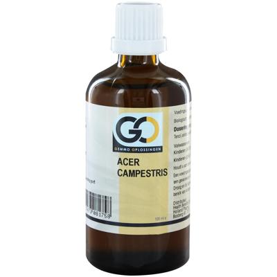 GO Acer campestris bio 100 Milliliter